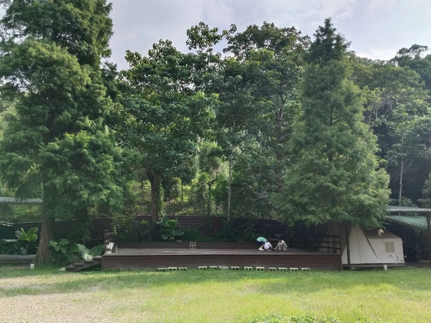 24 我們在樹林裡